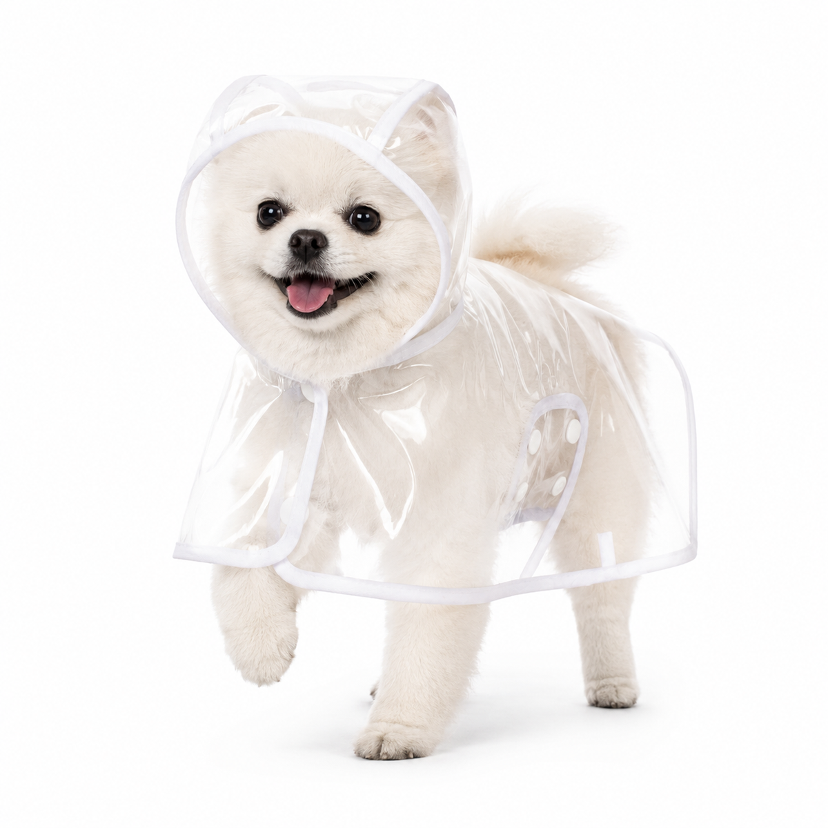 EVA Raincoat with White Trim for Small and Large Pets