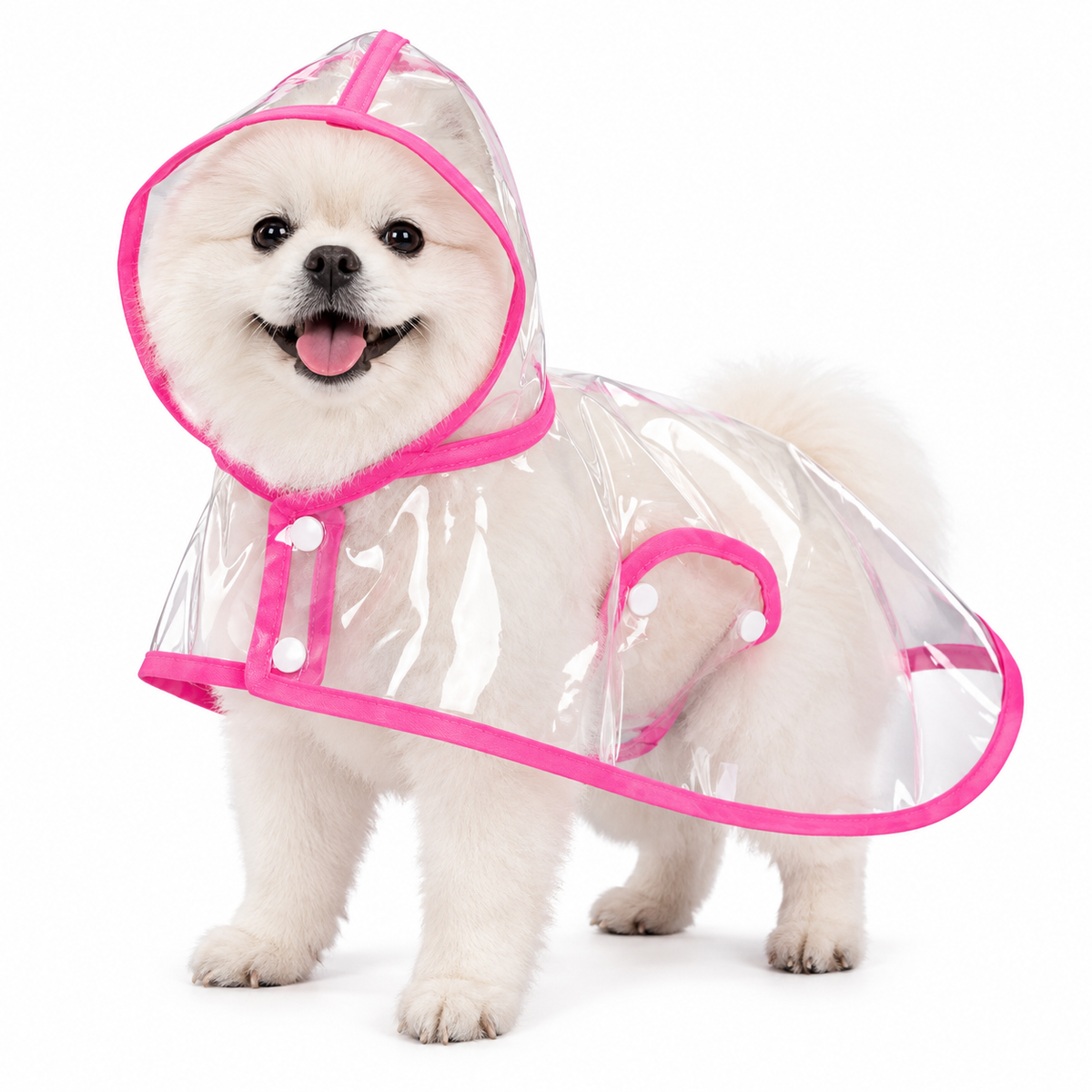 EVA Raincoat with White Trim for Small and Large Pets