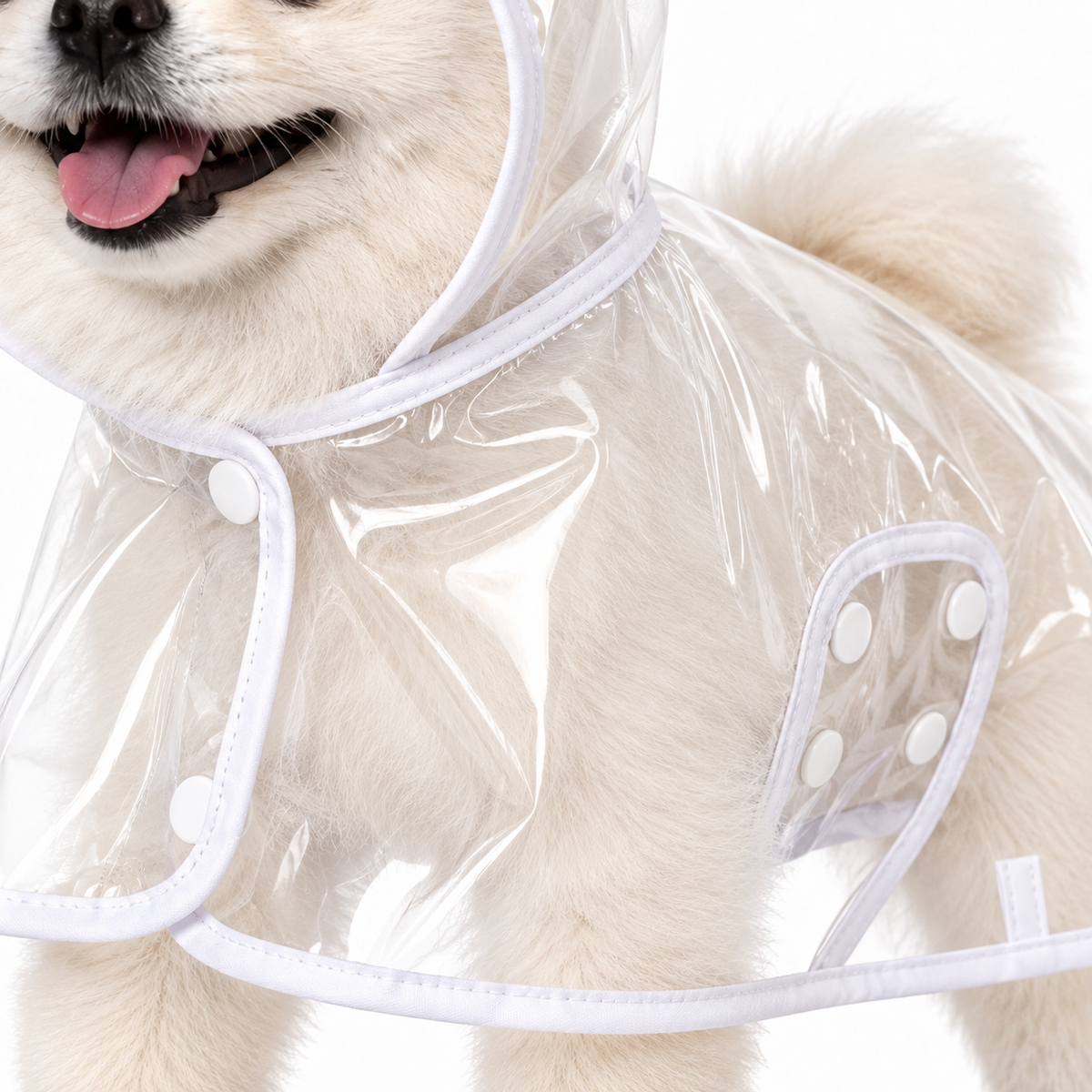 EVA Raincoat with White Trim for Small and Large Pets