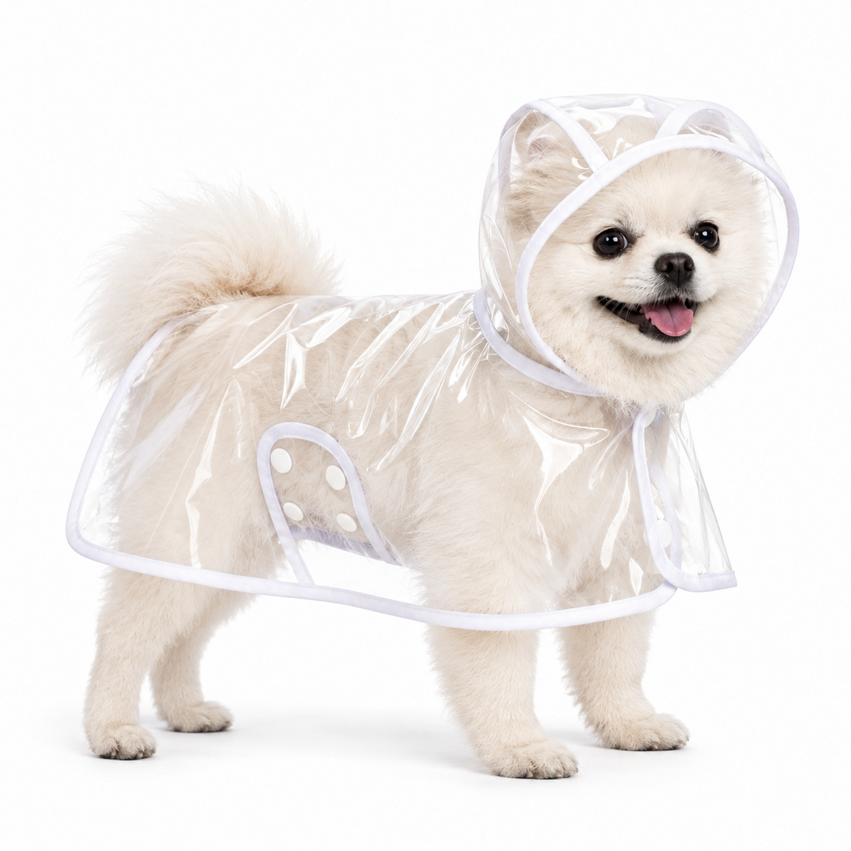EVA Raincoat with White Trim for Small and Large Pets
