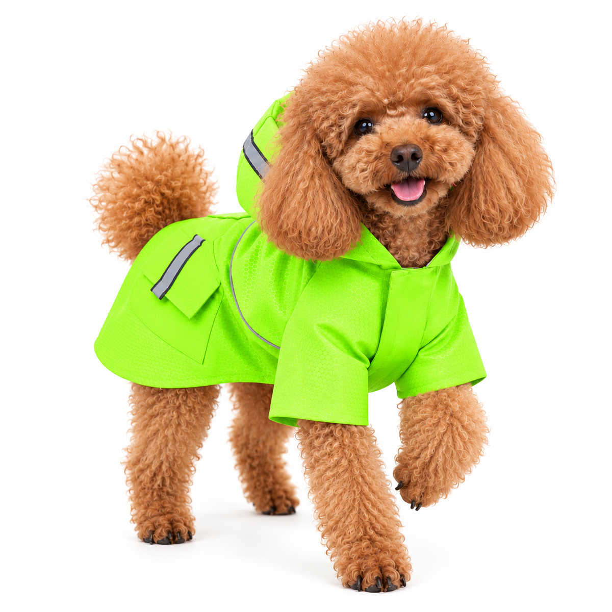 Velcro Reflective Raincoat with Snowproof Layer for Small Pets